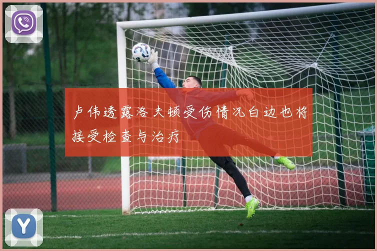 卢伟透露洛夫顿受伤情况白边也将接受检查与治疗